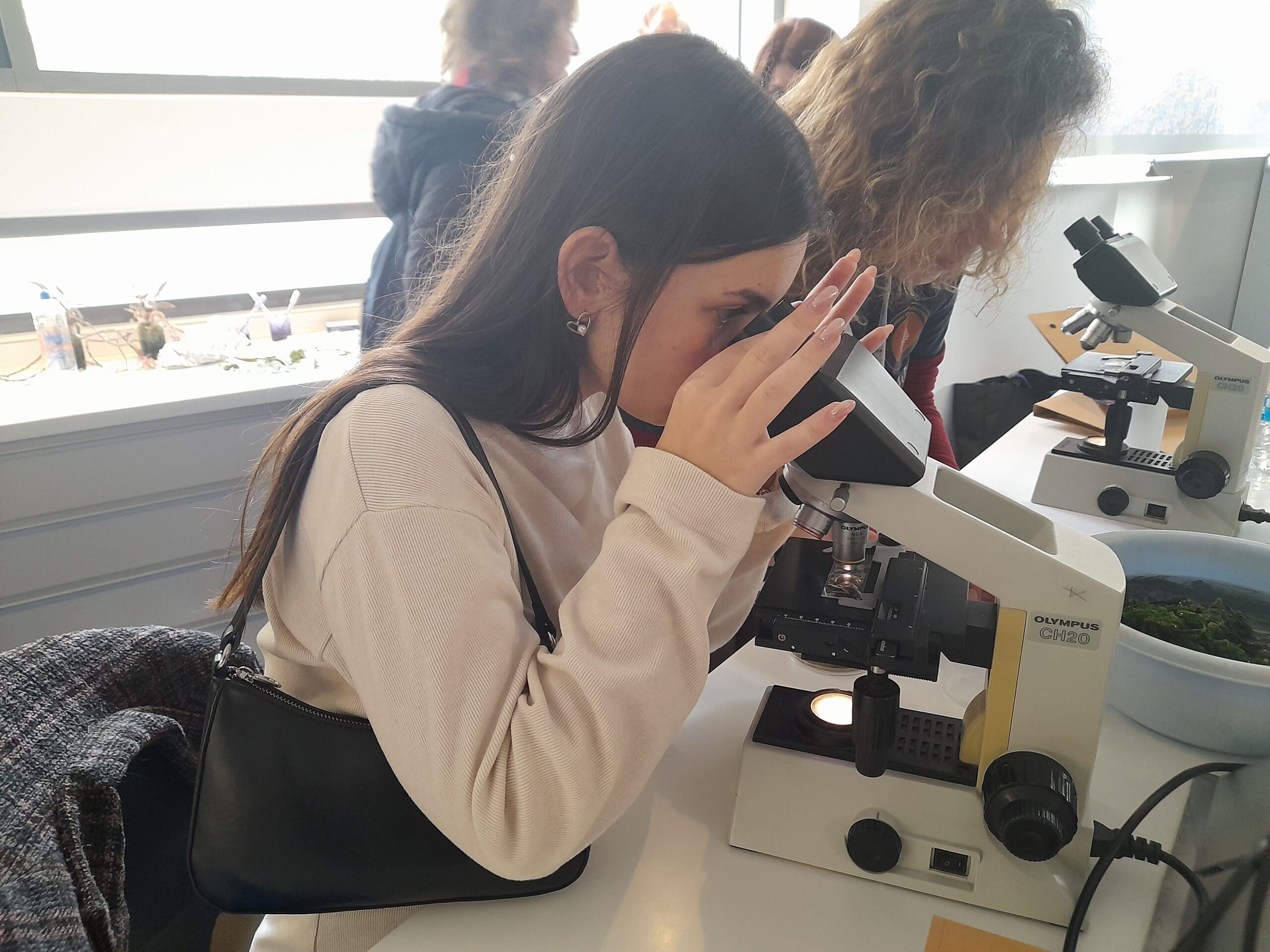 Workshop της Ελληνικής Φυκολογικής Εταιρείας