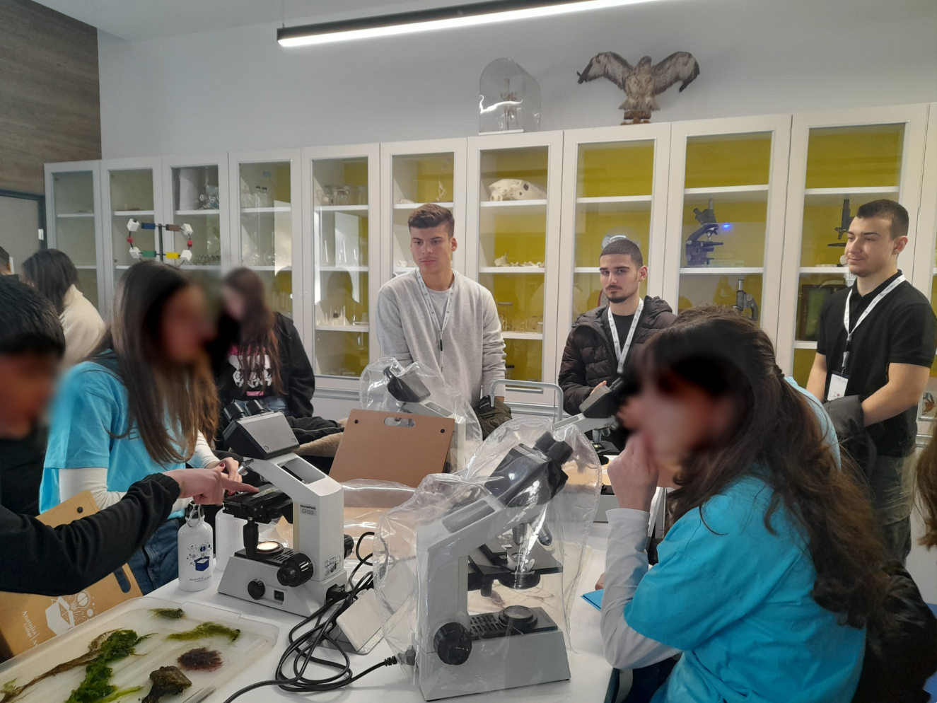 Workshop της Ελληνικής Φυκολογικής Εταιρείας